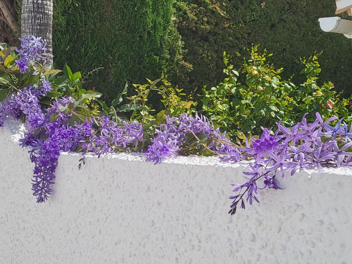Romantic White Villa -Private Pool Nerja Dış mekan fotoğraf